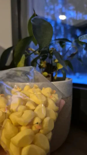 mini duck handful