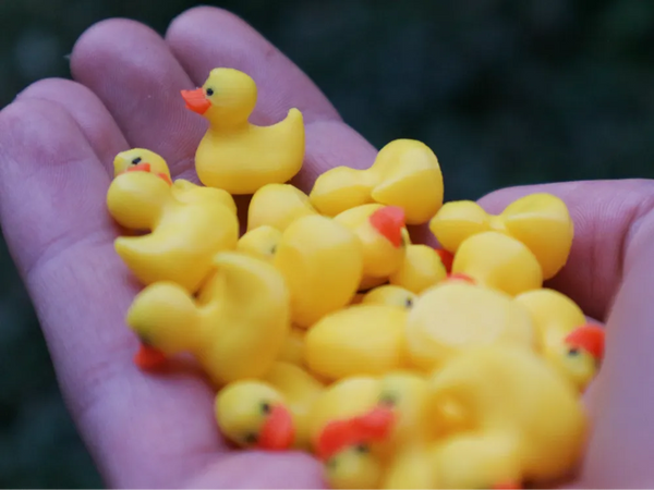 mini duck handful