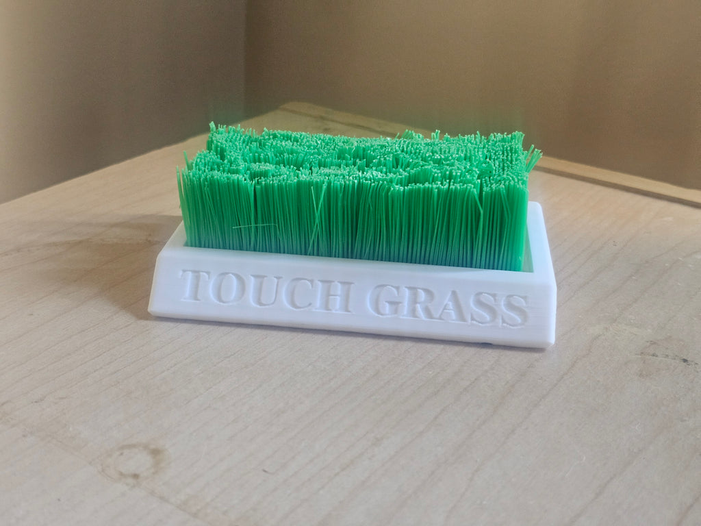 TOUCH GRASS
