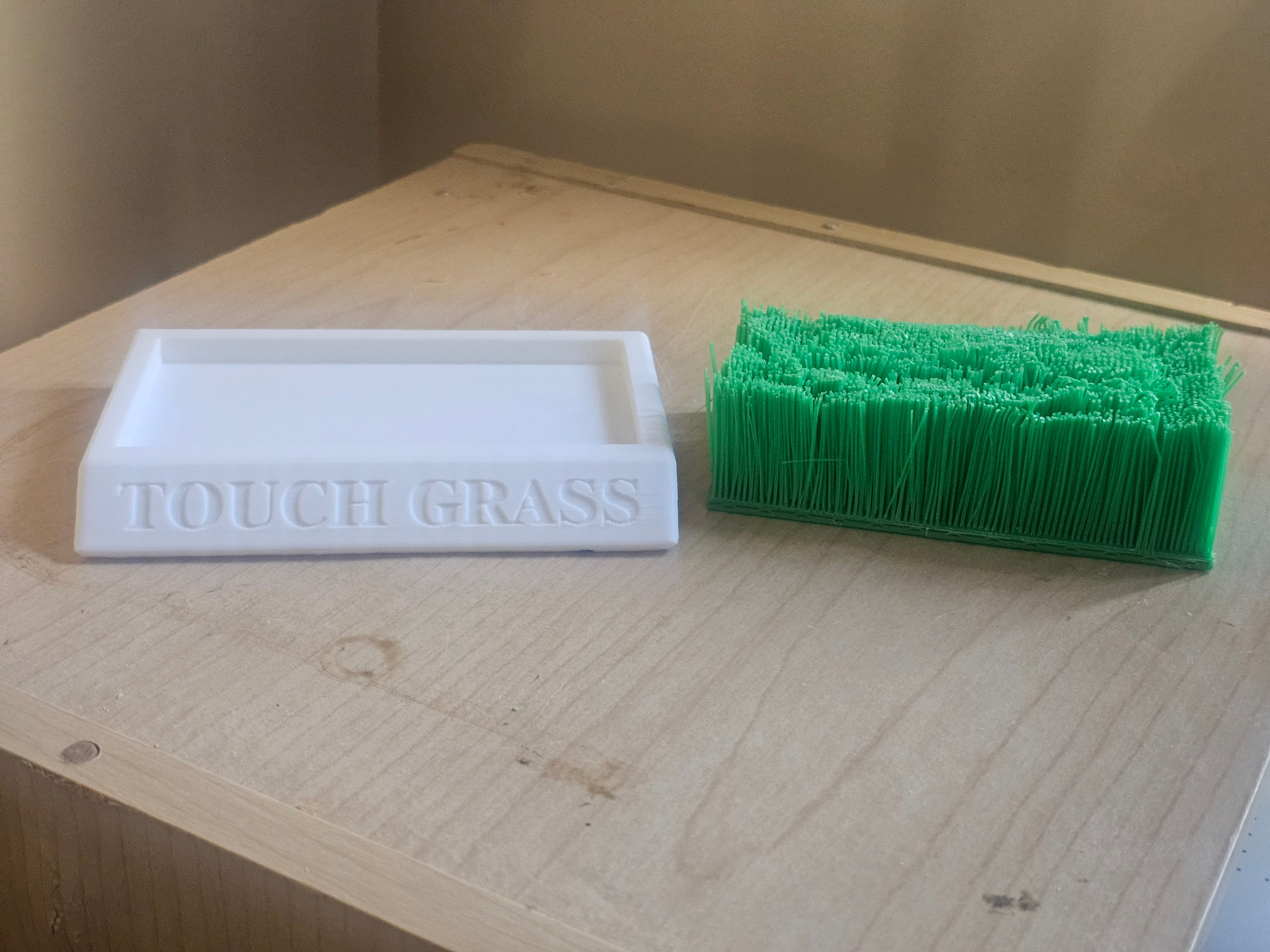TOUCH GRASS
